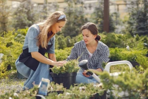 Luksusowe chłodziarko-zamrażarki: styl, pojemność i technologie